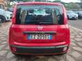 Fiat Panda Panda III 1.2 Easy 69cv E6 KM 21.000 Gar. 12 mesi - thumbnail 6