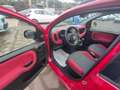 Fiat Panda Panda III 1.2 Easy 69cv E6 KM 21.000 Gar. 12 mesi - thumbnail 10