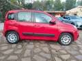 Fiat Panda Panda III 1.2 Easy 69cv E6 KM 21.000 Gar. 12 mesi - thumbnail 8