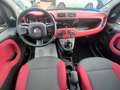 Fiat Panda Panda III 1.2 Easy 69cv E6 KM 21.000 Gar. 12 mesi - thumbnail 11