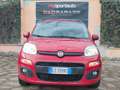 Fiat Panda Panda III 1.2 Easy 69cv E6 KM 21.000 Gar. 12 mesi - thumbnail 2