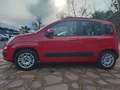 Fiat Panda Panda III 1.2 Easy 69cv E6 KM 21.000 Gar. 12 mesi - thumbnail 4