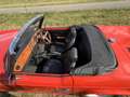 Triumph TR6 Triumph TR6 PI Rot - thumbnail 7