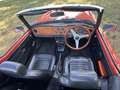 Triumph TR6 Triumph TR6 PI Rot - thumbnail 12