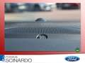 Ford Focus Turnier 1.0EB ST-Line X *Navi*LED*Panorama Blau - thumbnail 20