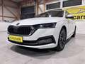 Skoda Octavia SKY VIRTUAL COCKPIT HEAD-UP-DISPLAY KAMERA MATRIX BEAM STANDHEIZUNG LENKRADHEIZUNG FRONTSCHEIBENHEIZUNG MEGAVOLL Weiß - thumbnail 4
