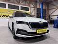 Skoda Octavia SKY VIRTUAL COCKPIT HEAD-UP-DISPLAY KAMERA MATRIX BEAM STANDHEIZUNG LENKRADHEIZUNG FRONTSCHEIBENHEIZUNG MEGAVOLL Weiß - thumbnail 6