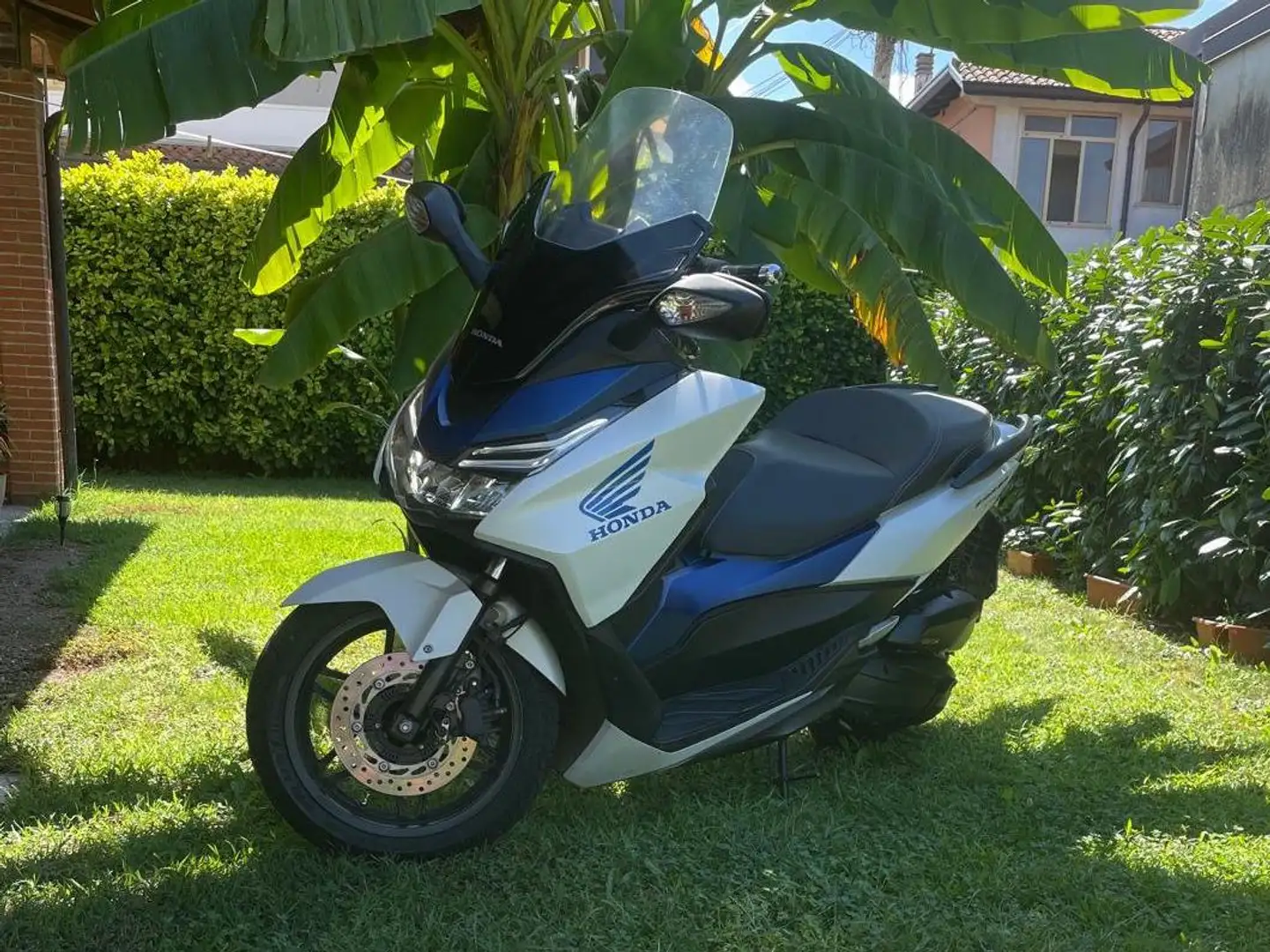 Honda Forza 125 ABS Bianco - 2