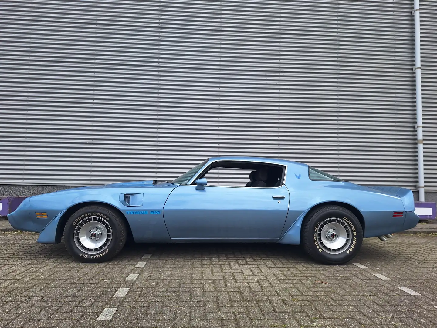 Pontiac Trans Am 4.9 Turbo V8 Azul - 2