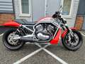 Harley-Davidson Street Rod Rood - thumbnail 3