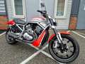 Harley-Davidson Street Rod Rood - thumbnail 1
