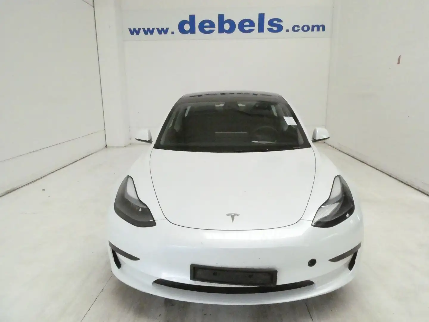 Tesla 3 Standard Ran - 1