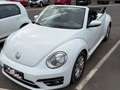 Volkswagen Beetle Beetle Cabrio 2.0 Aut. Blanco - thumbnail 2