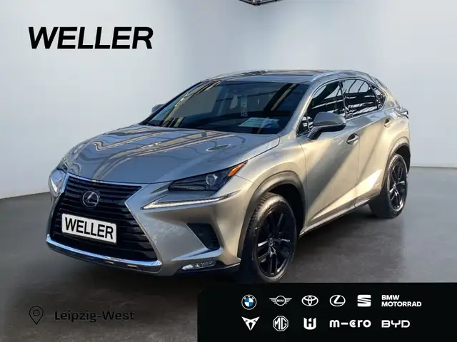 Lexus NX 300h Amazing Edition E-FOUR *Bi-LED*HiFi*PDC*