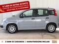Fiat Panda 1.0 firefly hybrid city life s&s 70cv Grigio - thumbnail 4