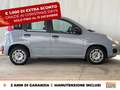 Fiat Panda 1.0 firefly hybrid city life s&s 70cv Grigio - thumbnail 6