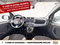 Fiat Panda 1.0 firefly hybrid city life s&s 70cv Grigio - thumbnail 11