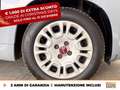 Fiat Panda 1.0 firefly hybrid city life s&s 70cv Grigio - thumbnail 15