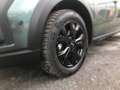 Dacia Jogger TCe 110 Extreme+ *KLIMA*NAVI* Grün - thumbnail 4