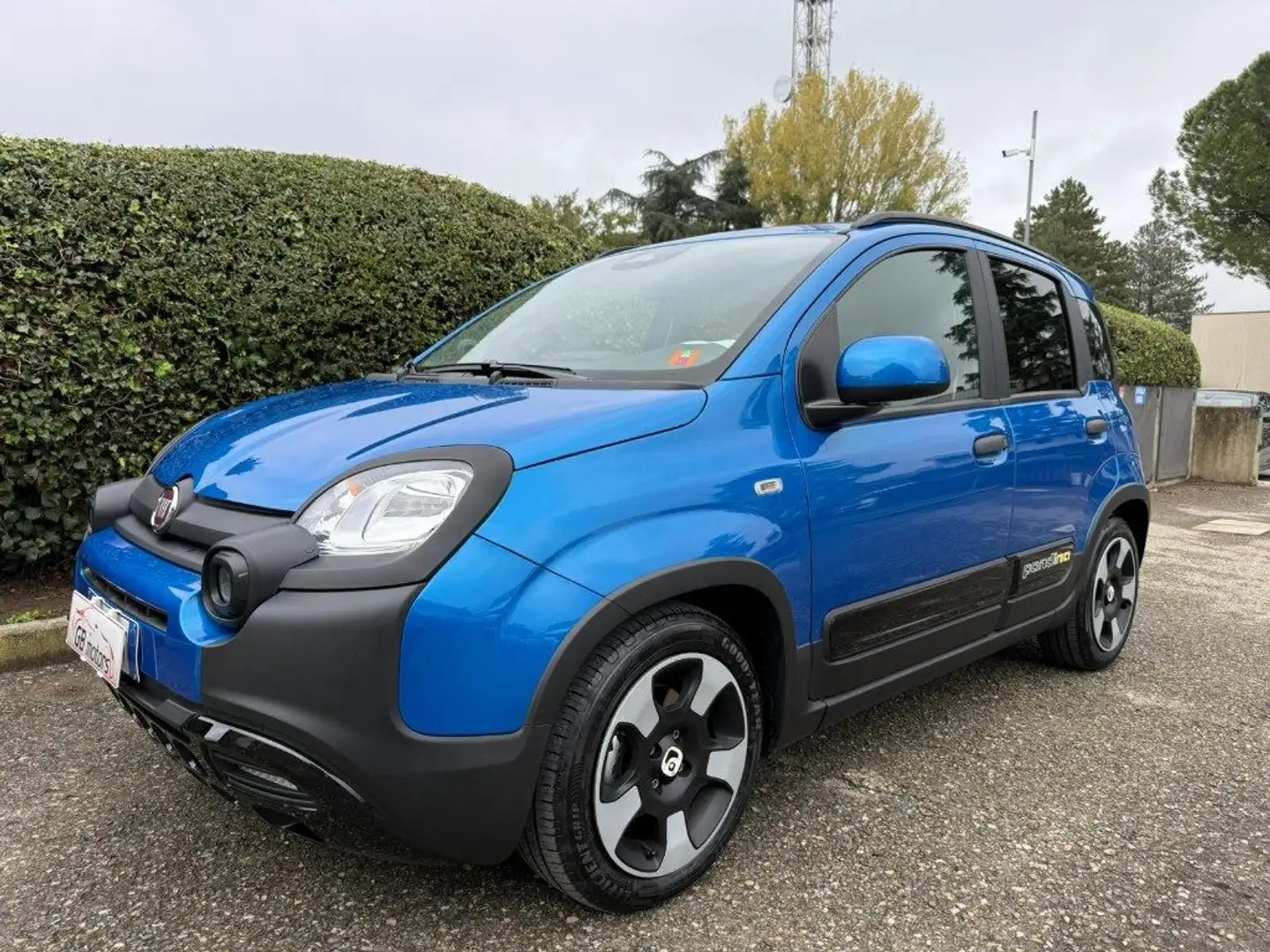 Fiat Panda Cross 1.0 FireFly S&S Pandina Hybrid NEOPATENTATI Blu/Azzurro - 1