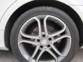 Mercedes-Benz CLS 250 CDI Shooting Brake Aut. VOLLAUSSTATTUNG Blanc - thumbnail 19