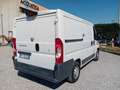 Fiat Ducato 2.3MJET 130CV EURO6B L1H1 CON ALLESTIMENTO INTERNO Bianco - thumbnail 5