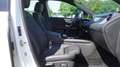 Mercedes-Benz B 180 B180 d Style LED Navi Kamera Virtual Spurhalte Blanc - thumbnail 12