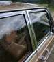Mercedes-Benz 300 W109 300 SEL 3.5 Oro - thumbnail 4