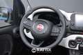 Fiat Panda Pandina 1.0 Firefly Hybrid 70CV Cross Blau - thumbnail 10