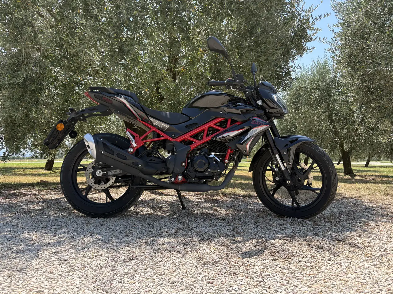 Benelli BN 125
