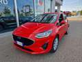 Ford Fiesta 1.1 75 CV 5 porte Plus Rosso - thumbnail 1