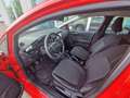 Ford Fiesta 1.1 75 CV 5 porte Plus Rosso - thumbnail 8