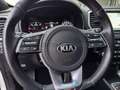 Kia Sportage Sportage 1.6 crdi mhev GT Line Plus Lounge pack awd 136cv dc Blanc - thumbnail 23