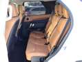 Land Rover Discovery 3.0 SDV6 HSE Luxury 7p. *LEDER*PANO*LUCHTVERING* Wit - thumbnail 16