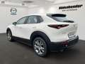 Mazda CX-30 5WGN 2.5L e-SKYACTIV G 140ps 6MT FWD Centr Weiß - thumbnail 4