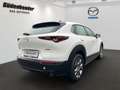 Mazda CX-30 5WGN 2.5L e-SKYACTIV G 140ps 6MT FWD Centr Weiß - thumbnail 3