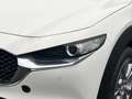 Mazda CX-30 5WGN 2.5L e-SKYACTIV G 140ps 6MT FWD Centr Weiß - thumbnail 5