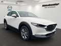 Mazda CX-30 5WGN 2.5L e-SKYACTIV G 140ps 6MT FWD Centr Weiß - thumbnail 2