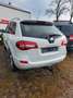 Renault Koleos Limited 4X4+AZV Weiß - thumbnail 5