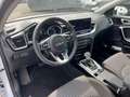 Kia Ceed SW / cee'd SW cee´d Sportswagon 1.6 CRDI Vision Komfort Paket Weiß - thumbnail 15