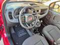 Fiat Panda 1.0 FireFly S&S Hybrid Rosso - thumbnail 9