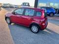 Fiat Panda 1.0 FireFly S&S Hybrid Rosso - thumbnail 4