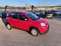 Fiat Panda 1.0 FireFly S&S Hybrid Rosso - thumbnail 2