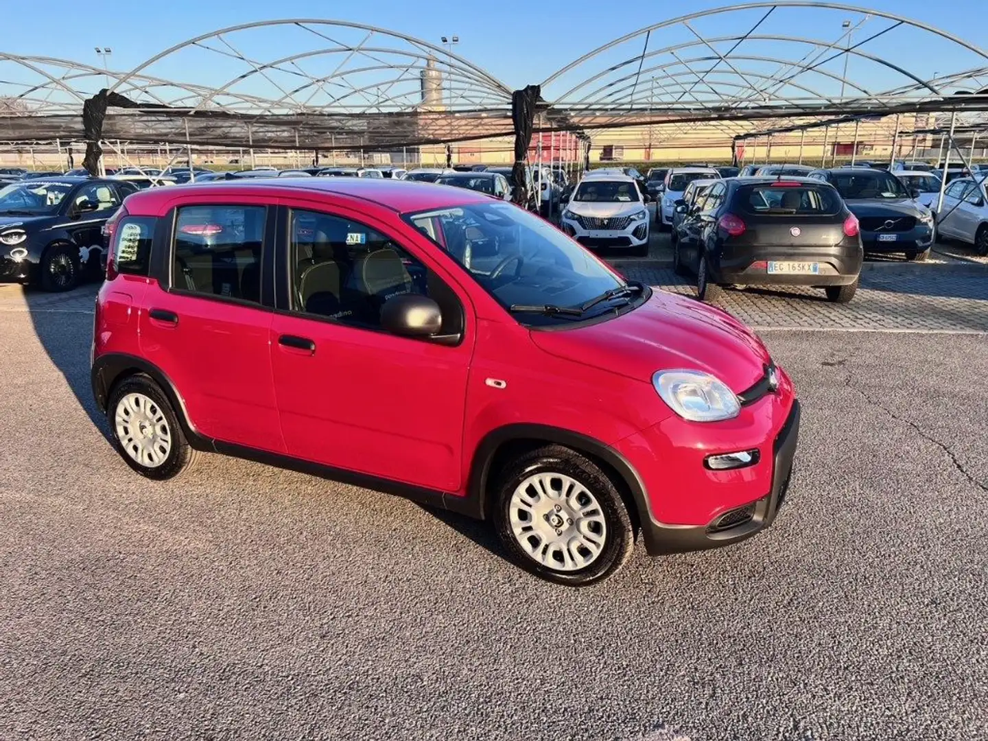 Fiat Panda 1.0 FireFly S&S Hybrid Rosso - 2