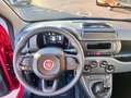 Fiat Panda 1.0 FireFly S&S Hybrid Rosso - thumbnail 11