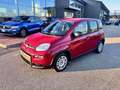 Fiat Panda 1.0 FireFly S&S Hybrid Rosso - thumbnail 1