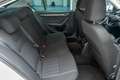 Skoda Octavia 1.6TDI CR Ambition Blanco - thumbnail 18