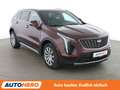 Cadillac XT4 350T Premium Luxury AWD Aut.*NAV*TEMPO*CAM*AHK* Rot - thumbnail 8