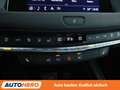 Cadillac XT4 350T Premium Luxury AWD Aut.*NAV*TEMPO*CAM*AHK* Rot - thumbnail 26