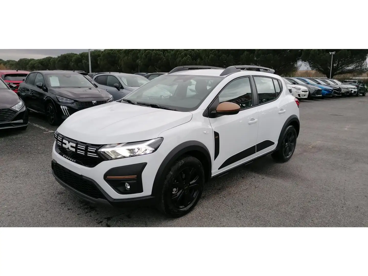 Dacia Sandero Stepway 1.0 ECO-G 100 Extême Blanc - 2